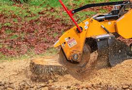 Best Leaf Removal  in Sheldon, IL